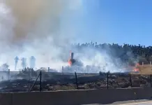 Incendio afecta zona de cact&aacute;ceas cerca de C&aacute;ndido Navarro (video)