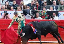 Amparo de toreros mexicanos contra prohibici&oacute;n de corridas de toros