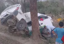 Camioneta de transporte p&uacute;blico queda partida a la mitad tras chocar contra un &aacute;rbol