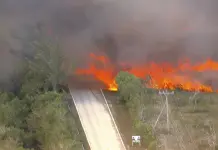 Incendio en Texas provoca evacuaciones mientras Arkansas y Florida también luchan contra el fuego Incendio en Texas provoca evacuaciones mientras Arkansas y Florida también luchan contra el fuego
