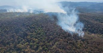 Controlan incendios en Ciudad Valles