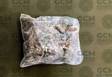 Es SLP 2° en narcomenudeo