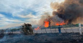 No cesa ola de incendios