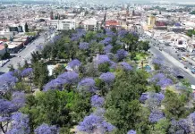 Foto del d&iacute;a | Color de primavera