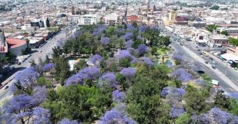 Foto del día | Color de primavera