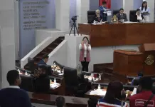 Falla SCJN a favor del Congreso; valida consulta a personas con discapacidad Falla SCJN a favor del Congreso; valida consulta a personas con discapacidad