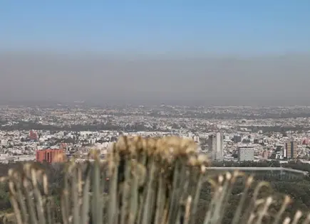 Piden a Sheinbaum intervenir en correcta aplicación de impuesto verde