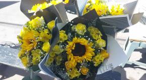 Fotos | Adoptan potosinos costumbre de regalar flores amarillas