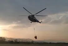 Afectadas, 2 mil 632 hect&aacute;reas por incendios forestales: Conafor