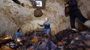 Mujeres con agave y orgullo: La revolución femenina en la industria del tequila