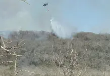 Contin&uacute;an activos incendios en El Naranjo y Ciudad del Ma&iacute;z