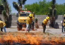 Gallardo critica politizaci&oacute;n y reitera propuesta de penas severas por incendios