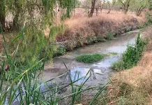 Otra vez, aguas negras llegan al Tangamanga I Otra vez, aguas negras llegan al Tangamanga I