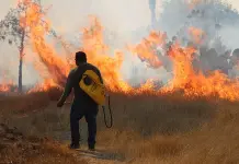 Afectados identifican a causantes de incendios Afectados identifican a causantes de incendios
