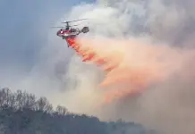 Las autoridades surcoreanas recomiendan evacuar una localidad sureña ante incendios forestales