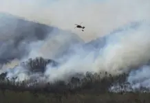Incendios en Carolina del Norte y del Sur avivados por sequía y árboles caídos del huracán Helene Incendios en Carolina del Norte y del Sur avivados por sequía y árboles caídos del huracán Helene