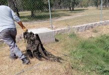 Desechos sólidos causan obstrucción en drenaje del parque Tangamanga I
