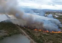 Alarma en SLP: incendios forestales se disparan un 47% en 2025 Alarma en SLP: incendios forestales se disparan un 47% en 2025