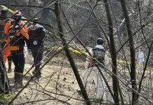 Impacto devastador del incendio forestal en Corea del Sur Impacto devastador del incendio forestal en Corea del Sur