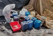 Descubren nuevos narcolaboratorios, Sinaloa suma 245