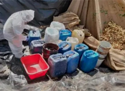 Localizan 17 laboratorios clandestinos en tres municipios de Sinaloa