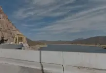 Investigador recomienda estudios de agua ante mortandad de peces en presa Huites