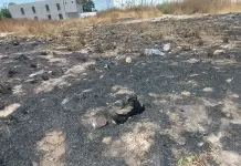 Se disparan los incendios en SGS Se disparan los incendios en SGS