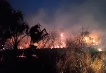 Reporte de Incendios Forestales en México Reporte de Incendios Forestales en México