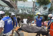 Aumenta a 3,145 el número de muertos por el terremoto en Myanmar