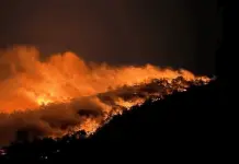 Incendio forestal en Zacatecas afecta miles de hectáreas