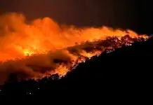 Combaten incendios forestales en cuatro municipios