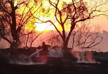 Video | Arde otra tarimera de Soledad; se movilizan cuerpos de emergencia