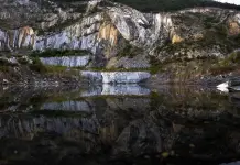 Cemex honra la naturaleza a través de la fotografía