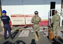 Aseguran más de 300 kilos de cocaína en el puerto de Lázaro Cárdenas Aseguran más de 300 kilos de cocaína en el puerto de Lázaro Cárdenas