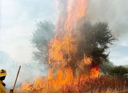 Sofocan incendio en San Antonio de Zaragoza