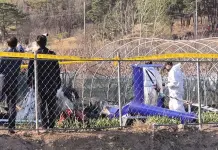 Muere un piloto tras estrellarse su helicóptero en Corea del Sur