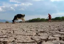 &iquest;Qu&eacute; municipios de SLP sufren alg&uacute;n grado de sequ&iacute;a?