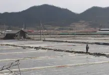 EEUU bloquea Importación de sal marina de Corea del Sur EEUU bloquea Importación de sal marina de Corea del Sur