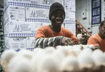 ONU evaluará a México en materia de derechos de trabajadores migrantes