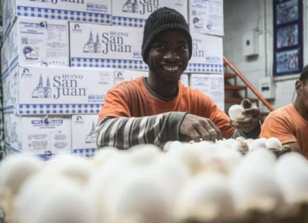 ONU evaluará a México en materia de derechos de trabajadores migrantes