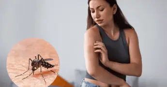 &iquest;C&oacute;mo evitar que los mosquitos entren a mi hogar?; trucos efectivos