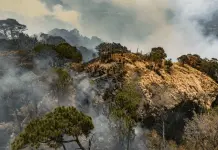 Cinco incendios forestales activos en Morelos; Cuernavaca sin control