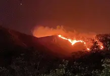 300 Brigadistas en acción para combatir incendios en Chihuahua