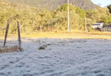 Helada hist&oacute;rica en La Trinidad, Xilitla: -1&deg;C tras d&iacute;as de 40&deg;C
