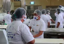 Se pierden 46.4 mil empleos formales en junio