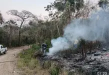 Se reaviva incendio en Xilitla