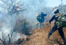 San Luis registra 7 incendios forestales