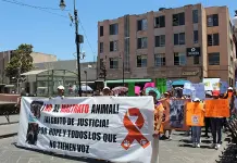 Decenas protestan contra  maltrato animal en SLP