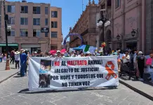 Exigen justicia para Hope en SLP: protestan contra el maltrato animal