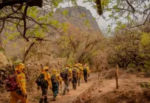 Incendios se extienden en el Ajusco-Chichinautzin